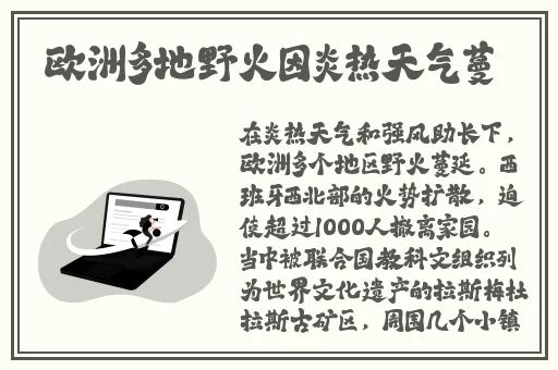 打扑克不被被子图